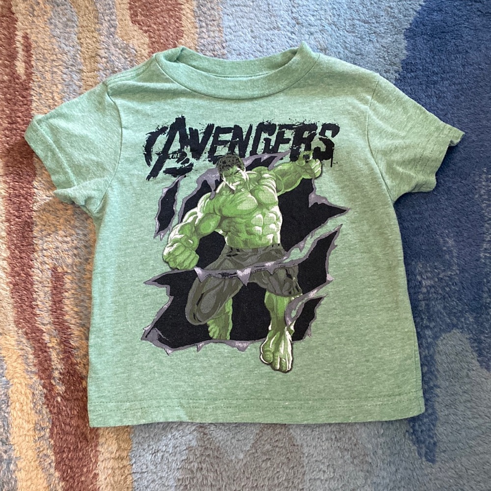 The avengers hold shirt